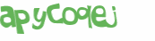 Captcha-test