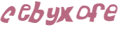 Prueba Captcha
