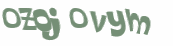 Desafio Captcha
