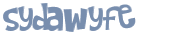 Sfida captcha