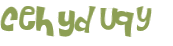 Captcha-Test