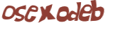 CAPTCHA 挑戰