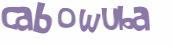 Captcha 챌린지
