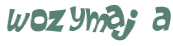 Wyzwanie captcha