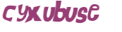 キャプチャ認証