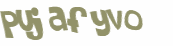 Desafio Captcha