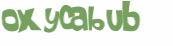 CAPTCHA 挑戰