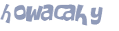 Wyzwanie captcha