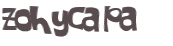 Captcha 챌린지