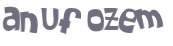 CAPTCHA 挑戰