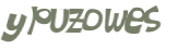 Wyzwanie captcha