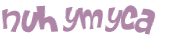 CAPTCHA 挑戰