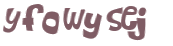 CAPTCHA 挑戰