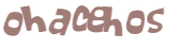 CAPTCHA 挑戰