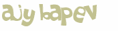 Desafio captcha