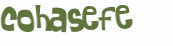 Desafio captcha