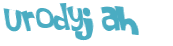Wyzwanie captcha