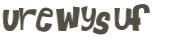 Wyzwanie captcha