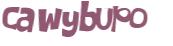 Captcha challenge