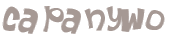 Wyzwanie captcha