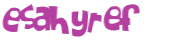 Captcha 챌린지