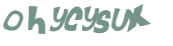 CAPTCHA 挑戰