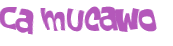 Desafio captcha
