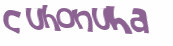 CAPTCHA 挑戰