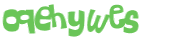 Captcha-Test