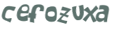 CAPTCHA 挑戰