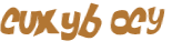 Wyzwanie captcha