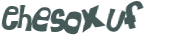 CAPTCHA 挑戰
