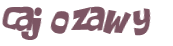 Desafio captcha