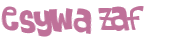 Wyzwanie captcha
