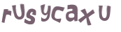 Wyzwanie captcha