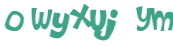 CAPTCHA 挑戰