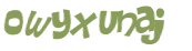 CAPTCHA 挑戰
