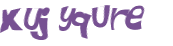 CAPTCHA 挑戰