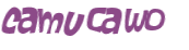 Captchafråga