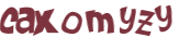 Captcha 챌린지