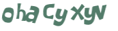CAPTCHA 挑戰