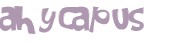 Desafio captcha