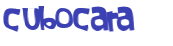 Captcha 챌린지