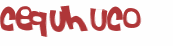 Desafio captcha