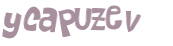Captcha 챌린지