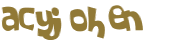 CAPTCHA 挑戰