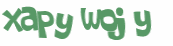Wyzwanie captcha