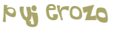 Desafio Captcha