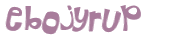 Captcha 챌린지