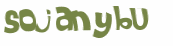 Captcha 챌린지
